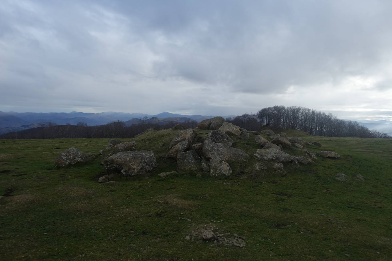 Fotos: Ireber. Paseo entre bosques mágicos