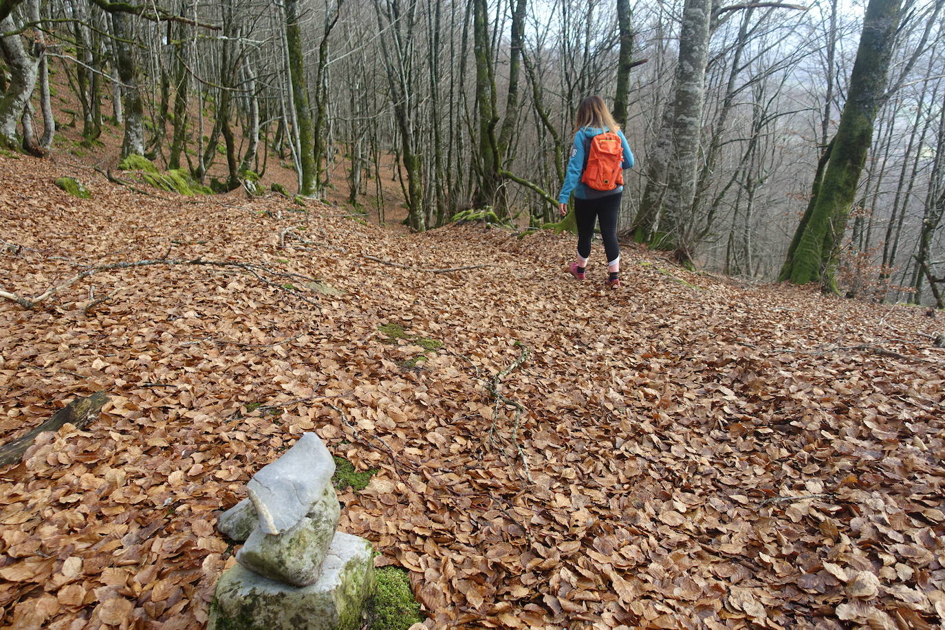 Fotos: Ireber. Paseo entre bosques mágicos