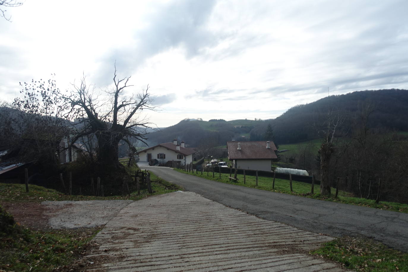 Fotos: Ireber. Paseo entre bosques mágicos