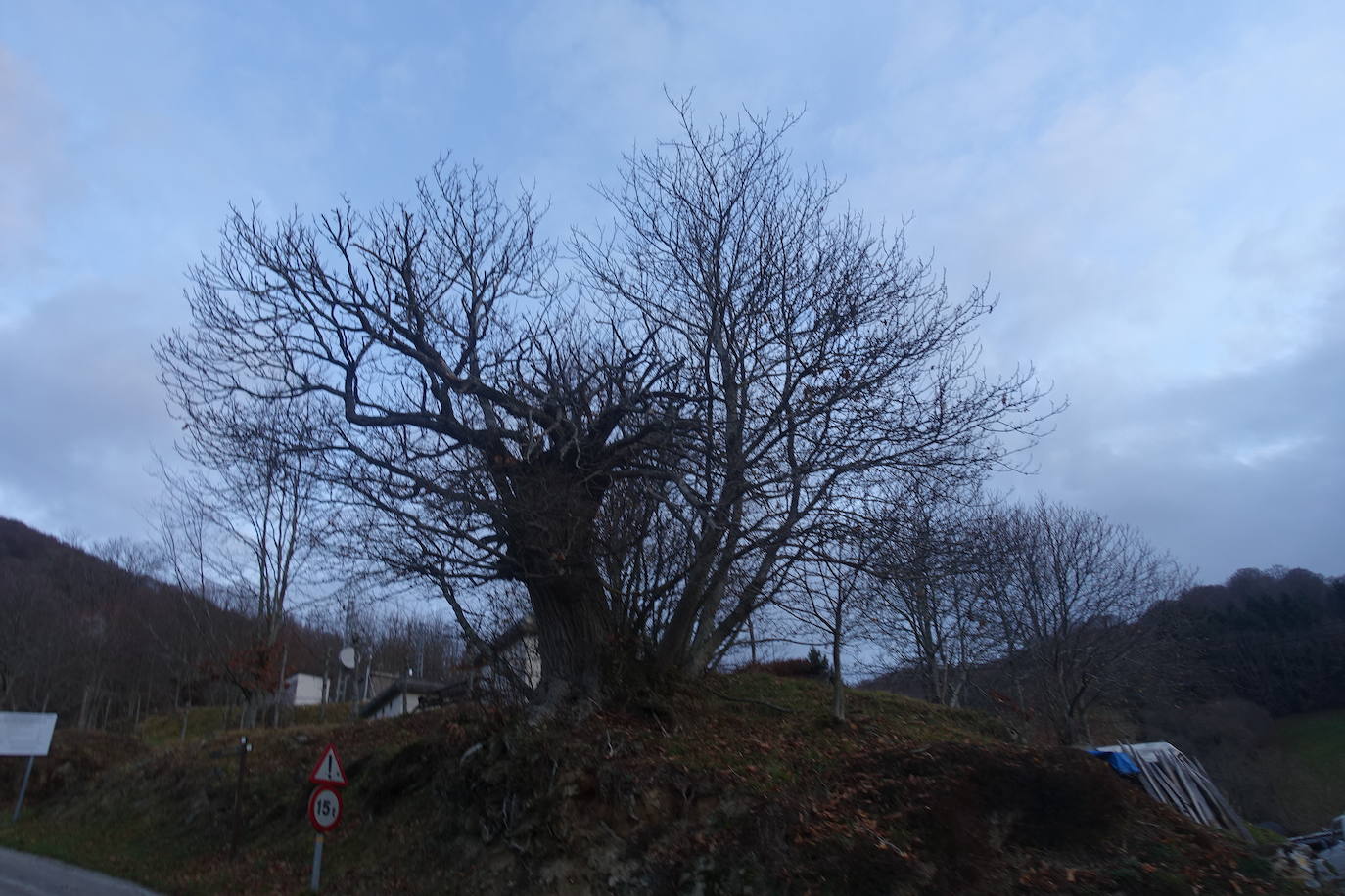 Fotos: Ireber. Paseo entre bosques mágicos