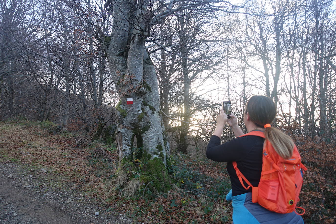 Fotos: Ireber. Paseo entre bosques mágicos