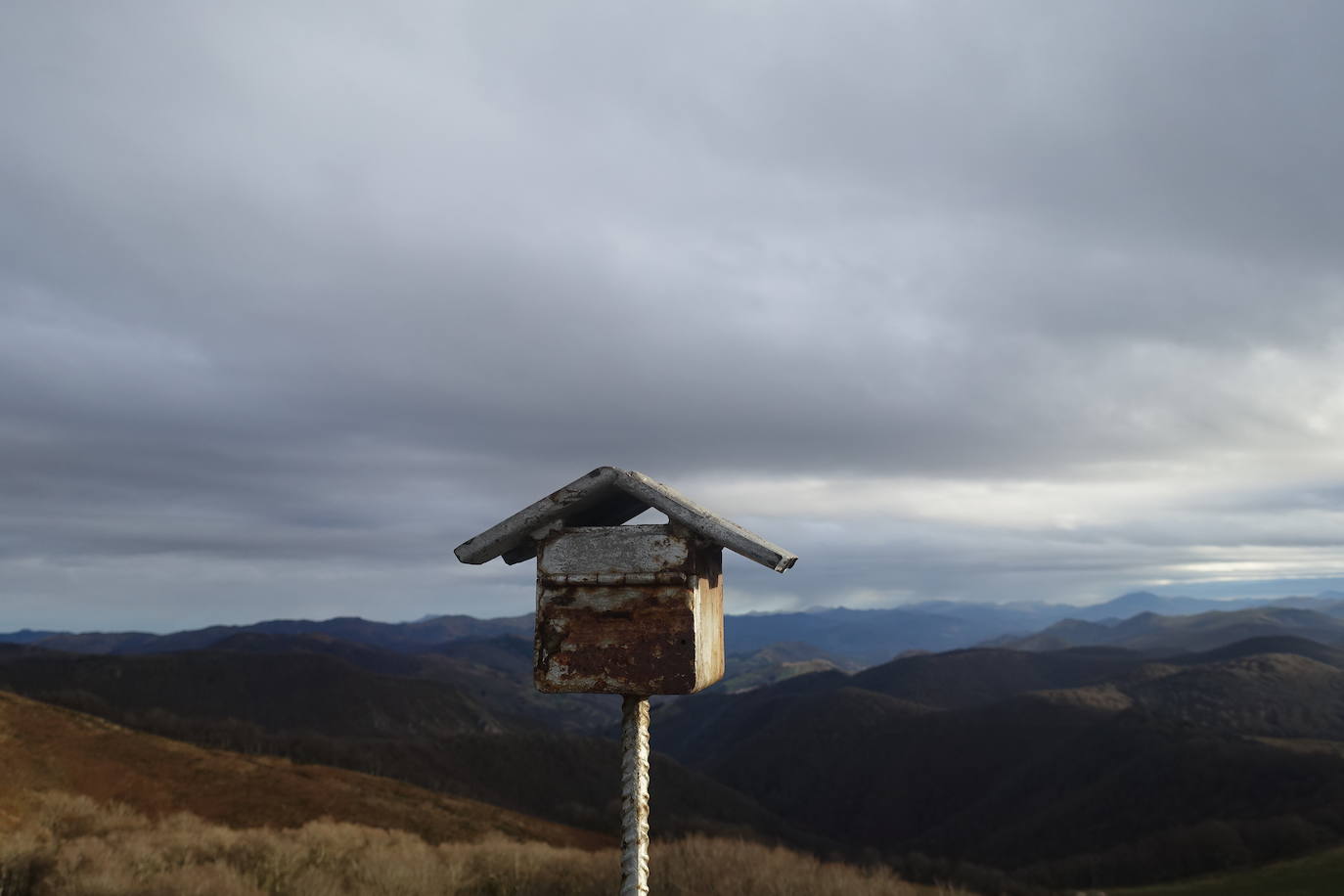 Fotos: Ireber. Paseo entre bosques mágicos