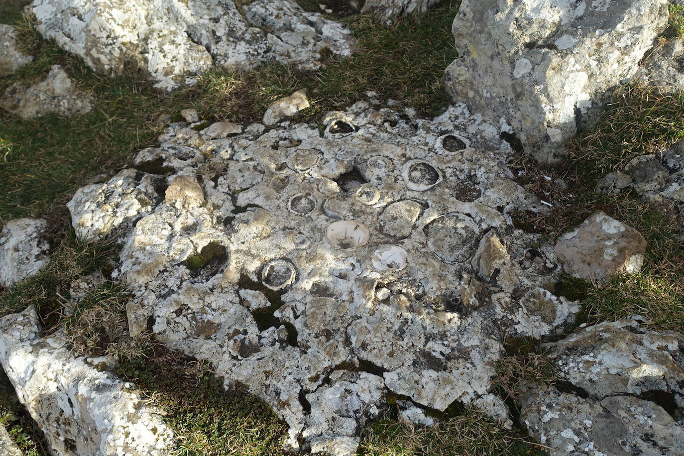 Fotos: Ireber. Paseo entre bosques mágicos