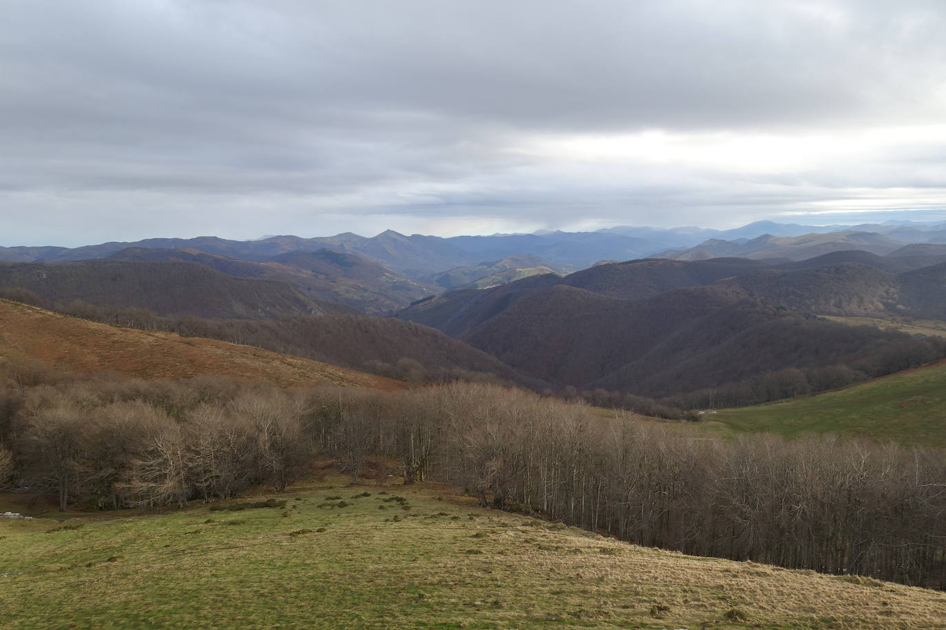 Fotos: Ireber. Paseo entre bosques mágicos