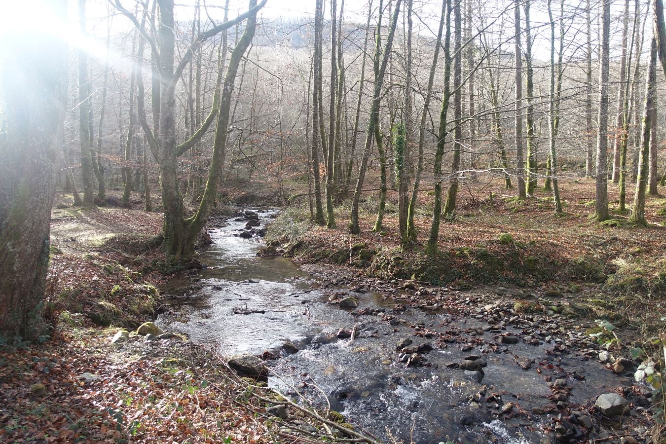 Fotos: Petriketa, entre molinos y gigantes