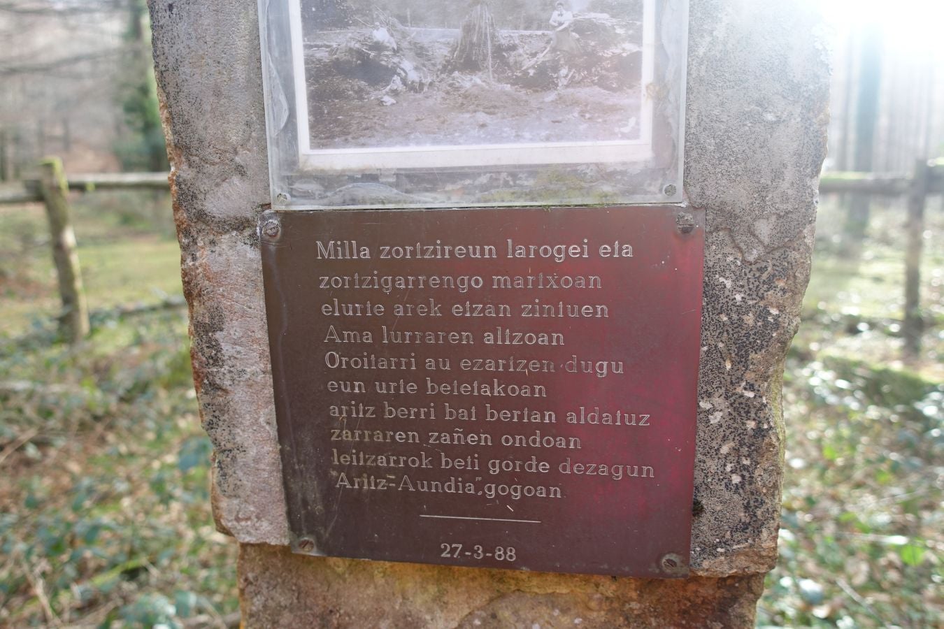 Fotos: Petriketa, entre molinos y gigantes