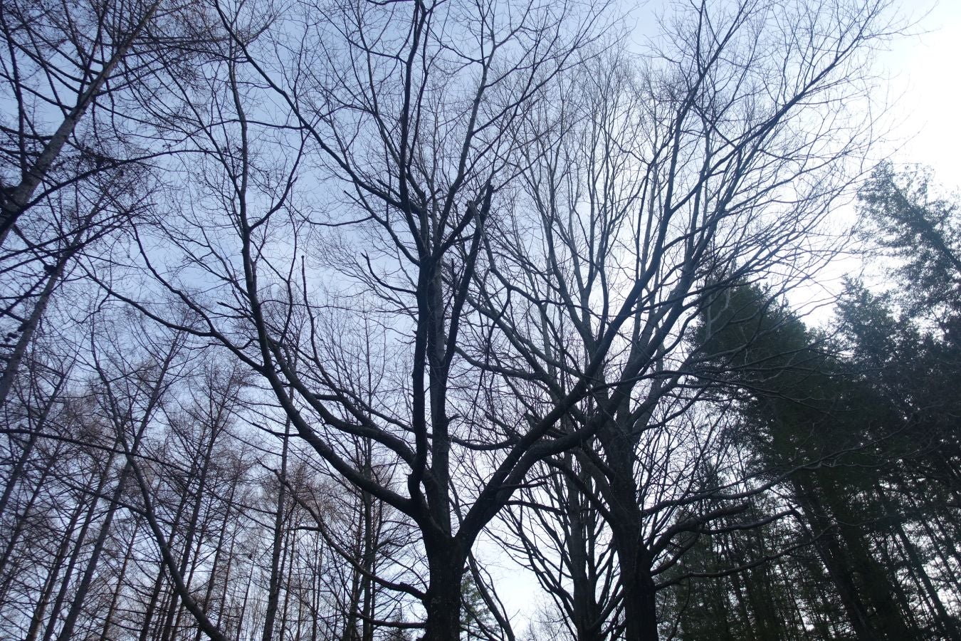 Fotos: Petriketa, entre molinos y gigantes