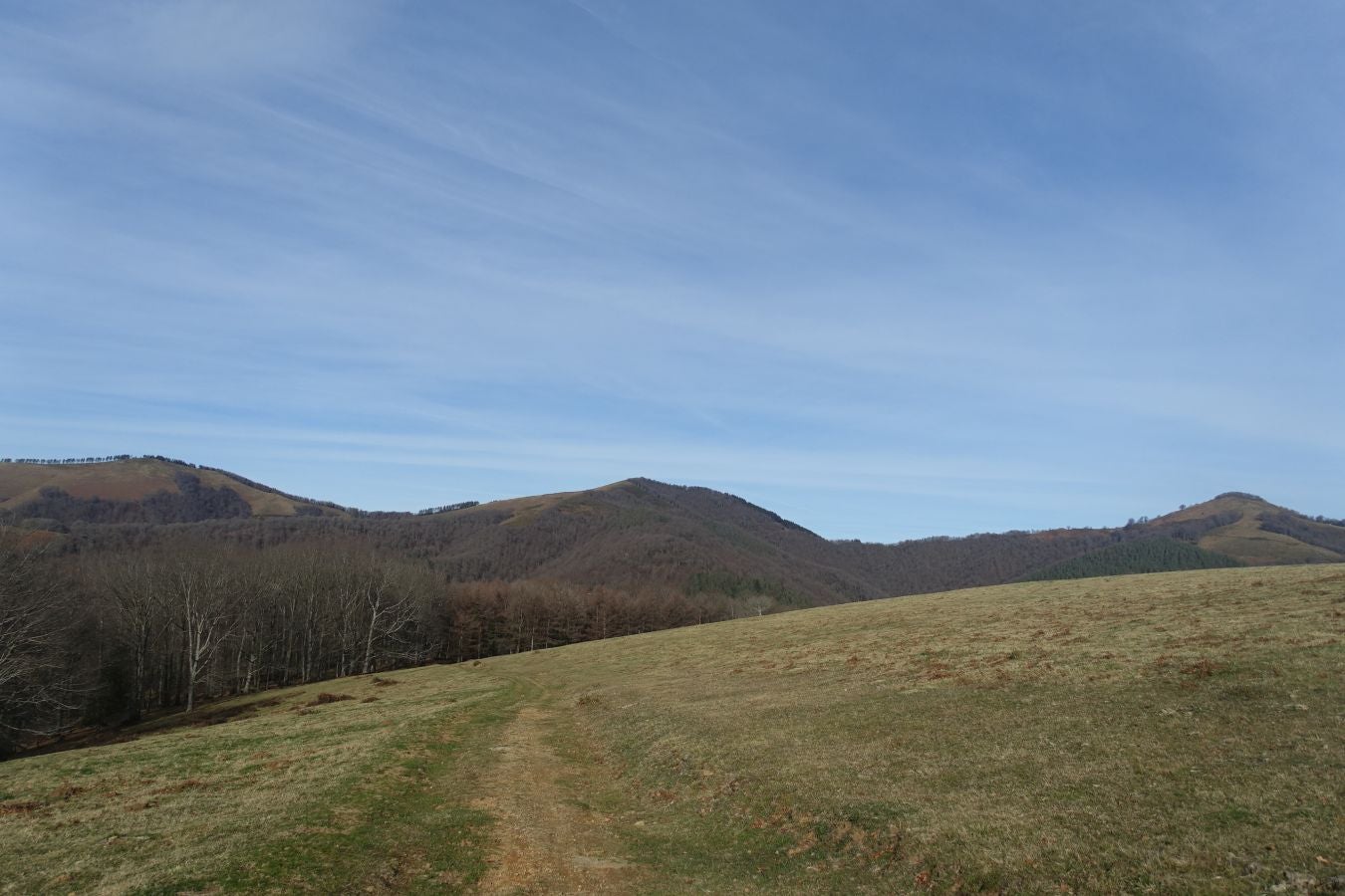 Fotos: Petriketa, entre molinos y gigantes