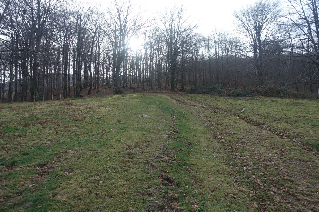 Fotos: Petriketa, entre molinos y gigantes