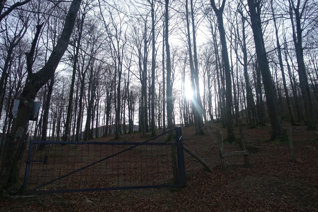 Fotos: Petriketa, entre molinos y gigantes