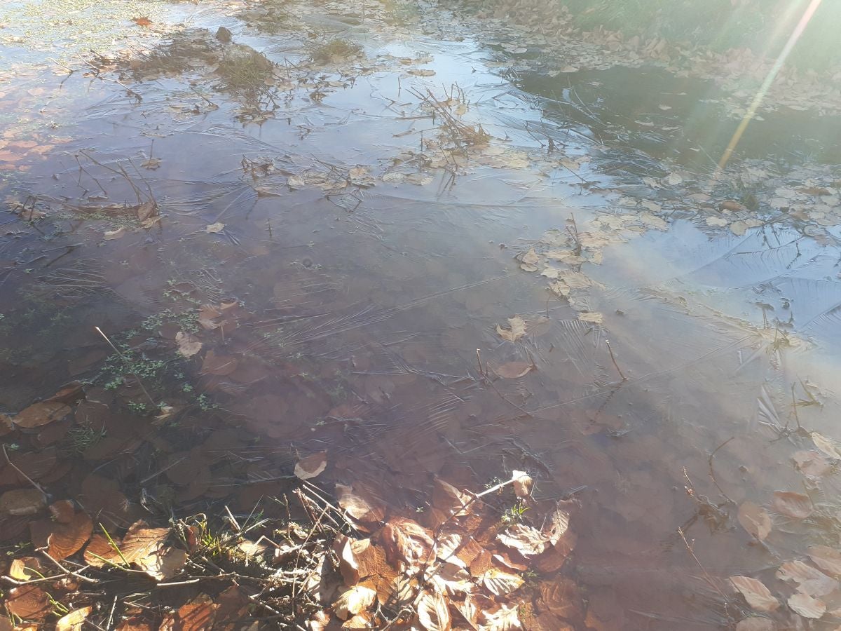 Fotos: Petriketa, entre molinos y gigantes