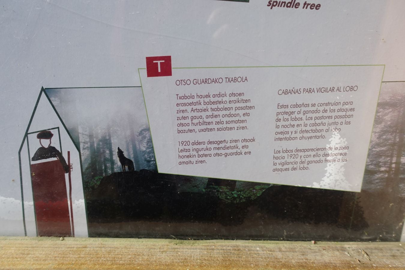 Fotos: Petriketa, entre molinos y gigantes