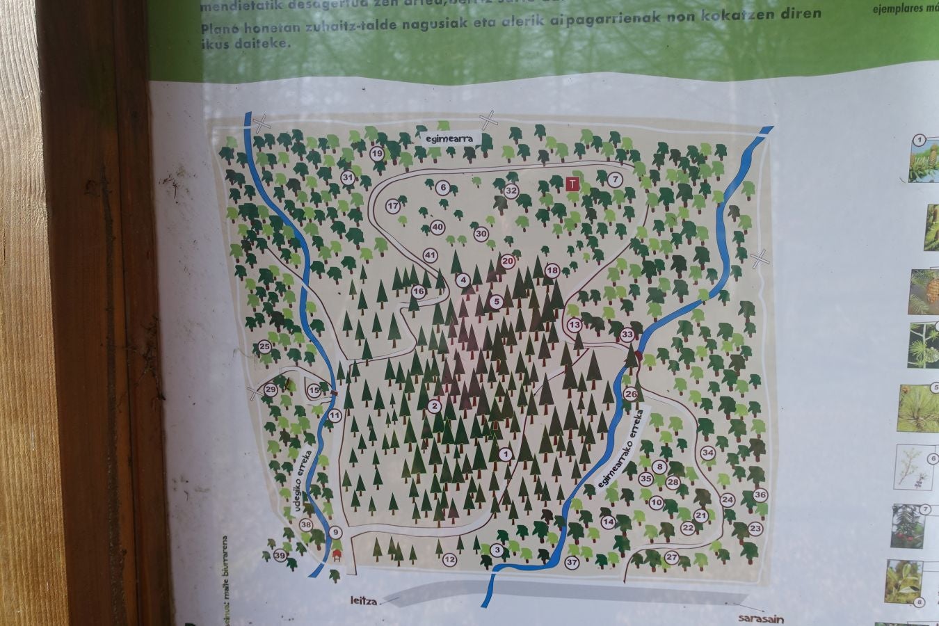 Fotos: Petriketa, entre molinos y gigantes