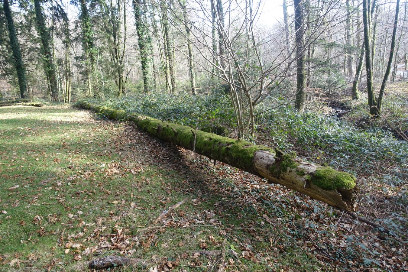 Fotos: Petriketa, entre molinos y gigantes