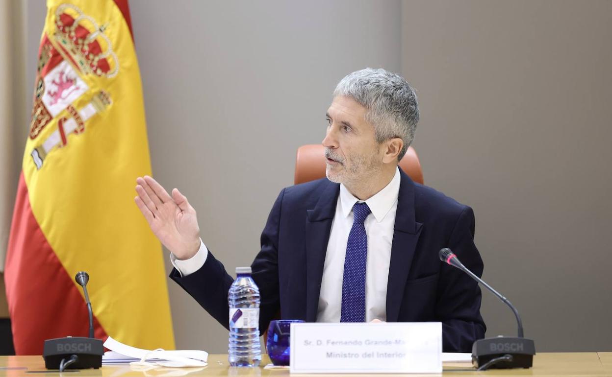 El Ministro Grande-Marlaska durante la presentación de este mediodía