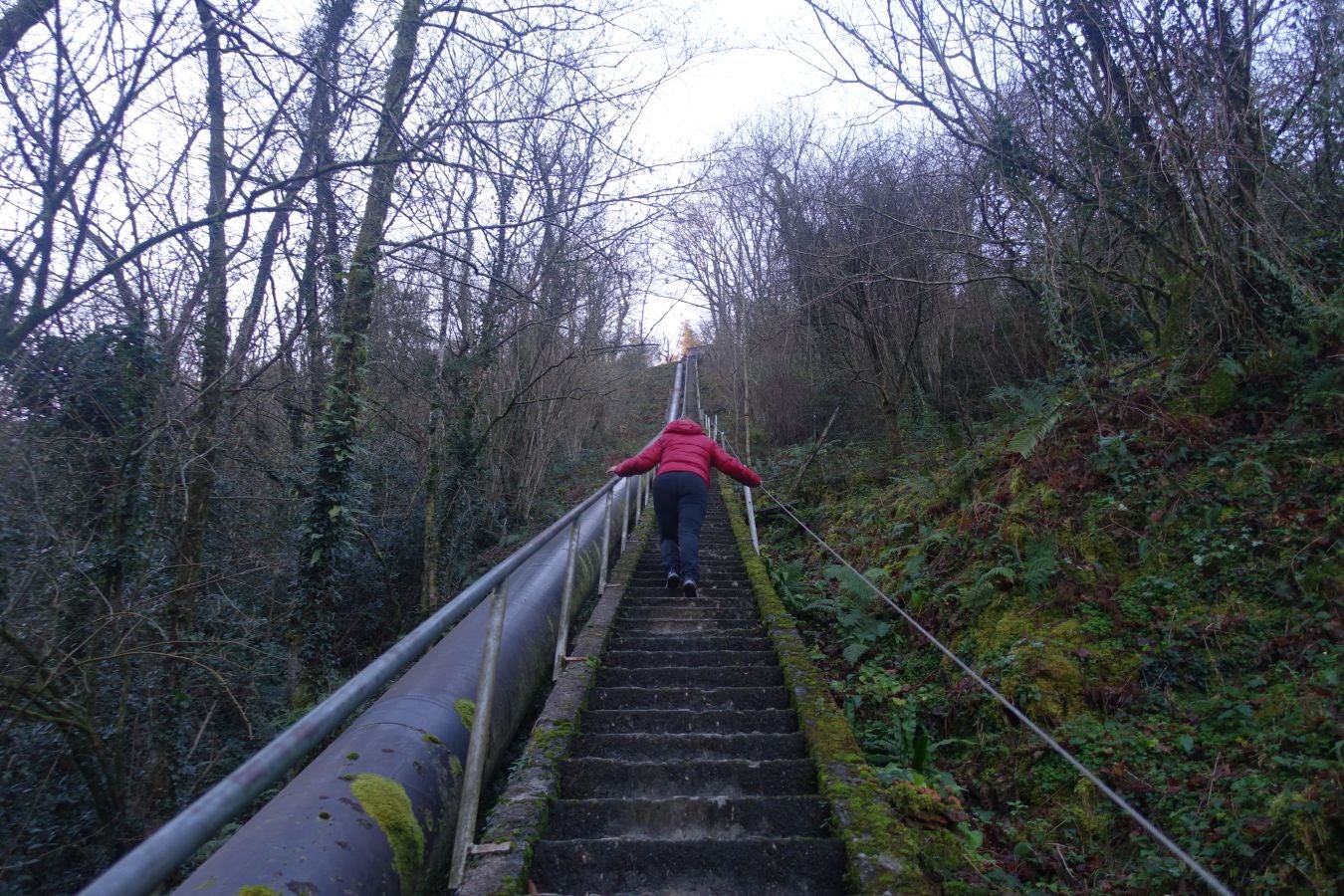 Fotos: Oindolar, señor del reino del agua