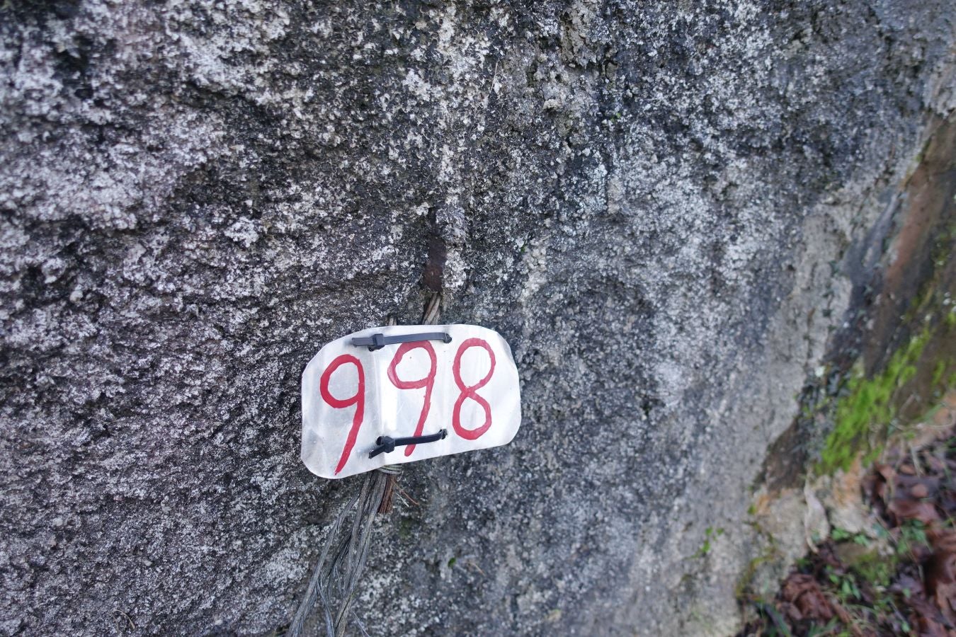 Fotos: Oindolar, señor del reino del agua