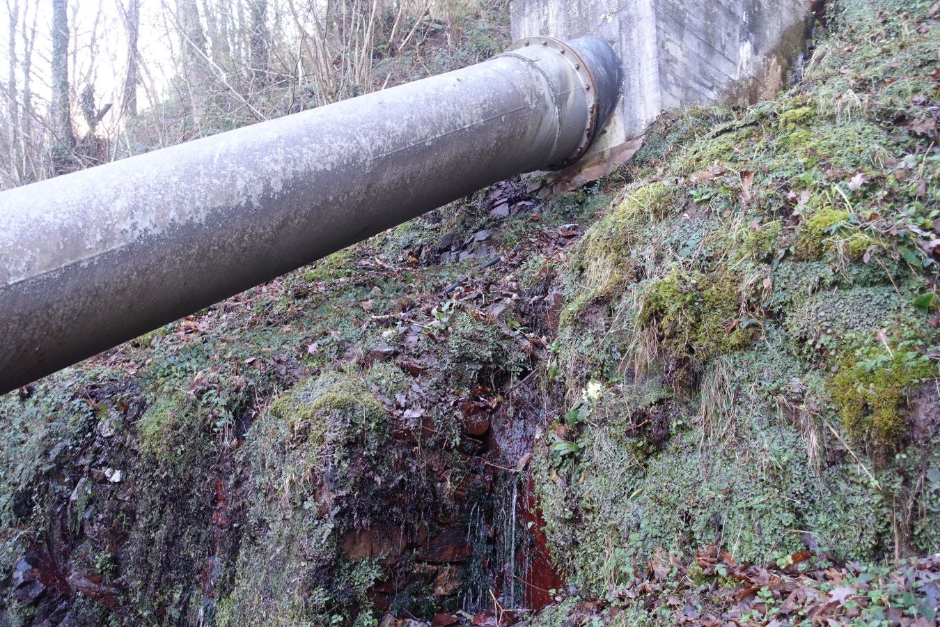 Fotos: Oindolar, señor del reino del agua
