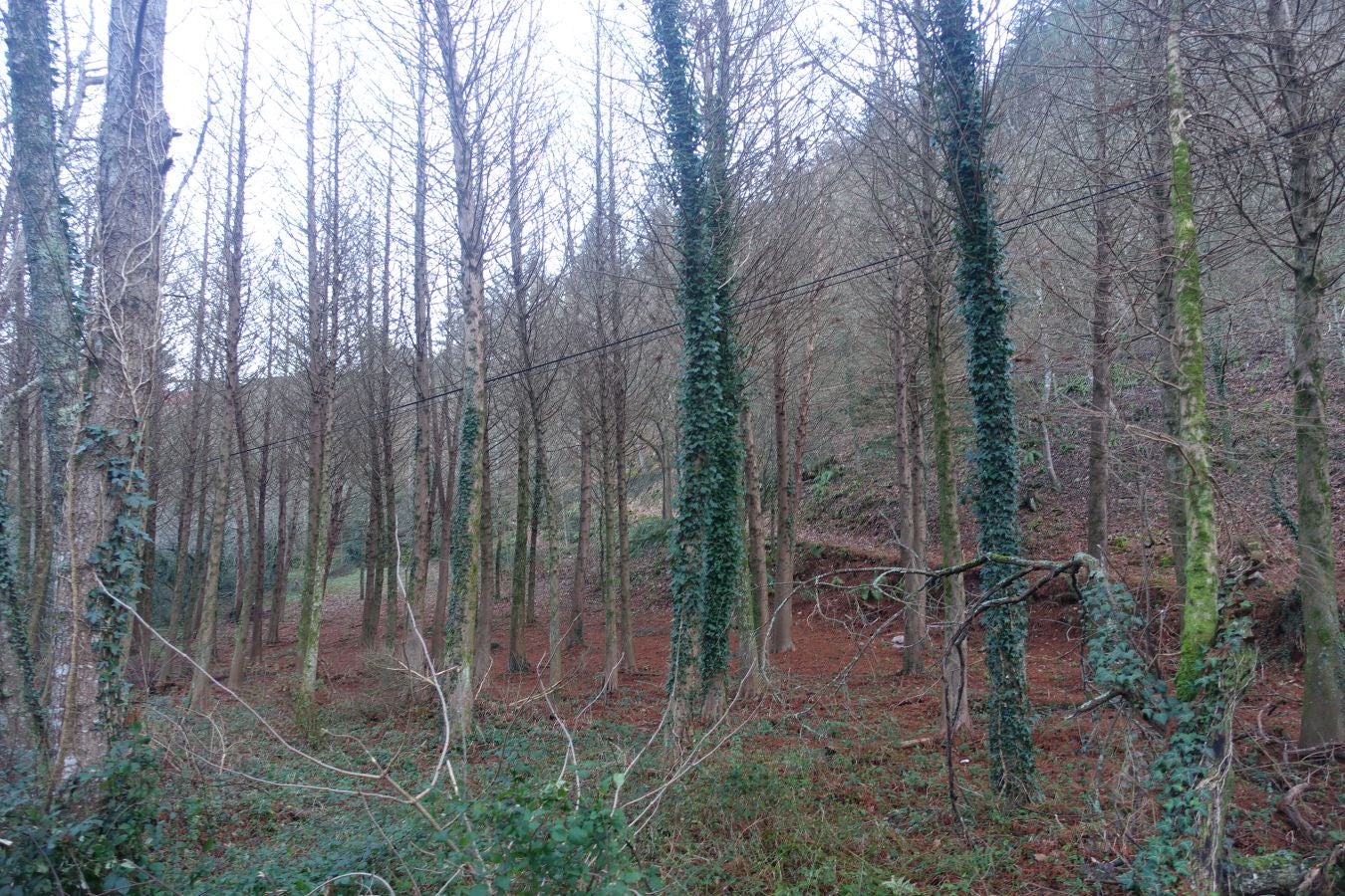 Fotos: Oindolar, señor del reino del agua