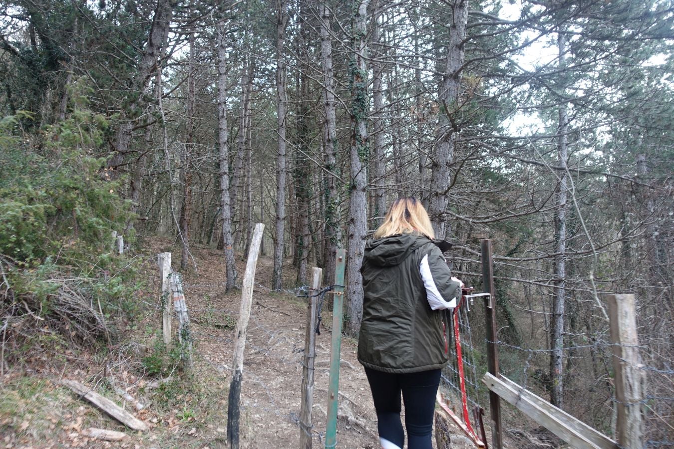 Fotos: Erga, con vistas a los Pirineos