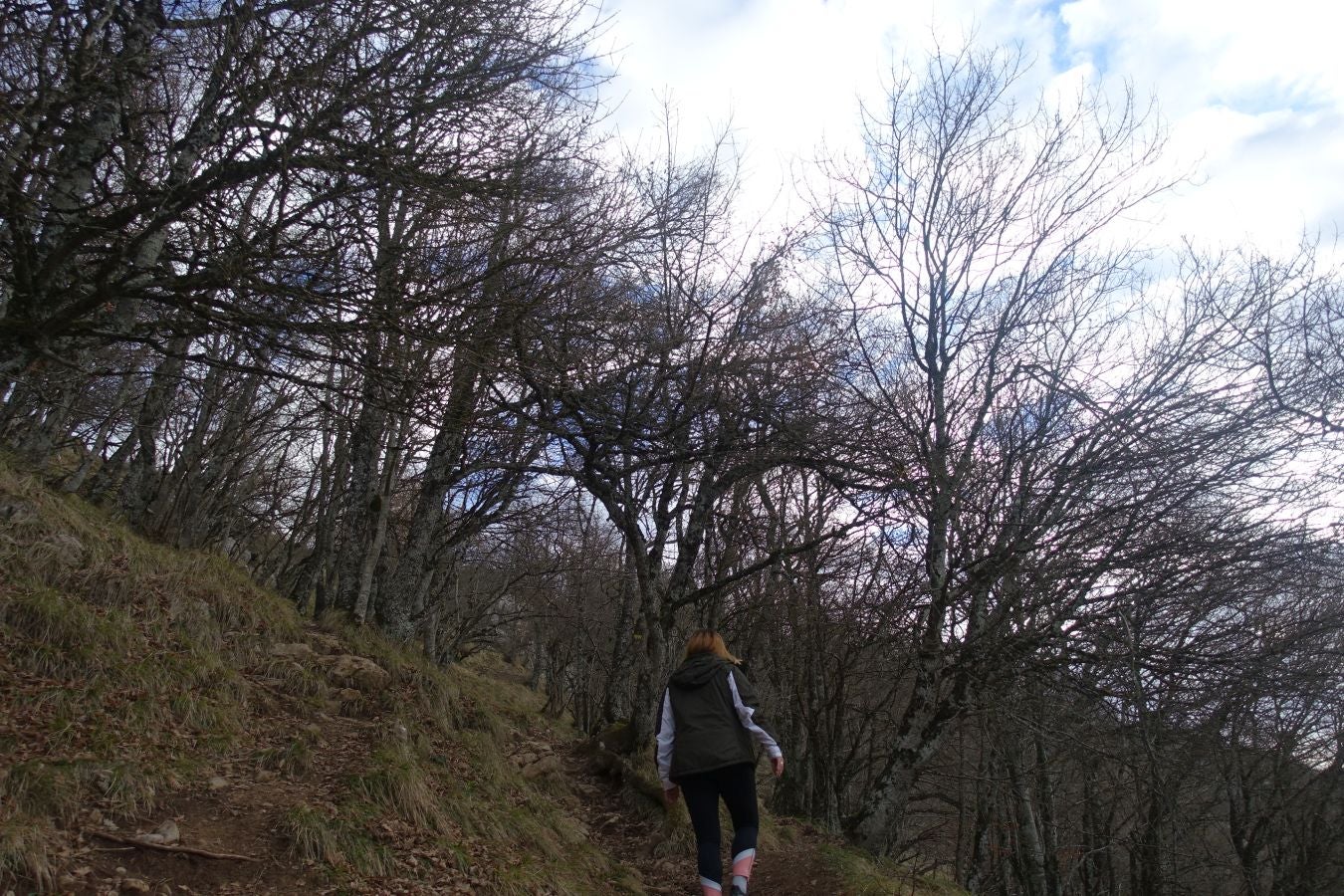 Fotos: Erga, con vistas a los Pirineos