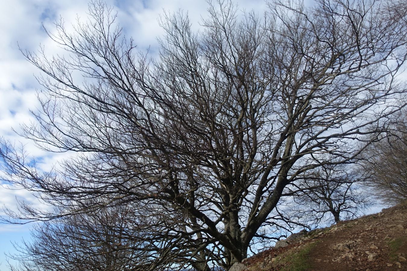 Fotos: Erga, con vistas a los Pirineos