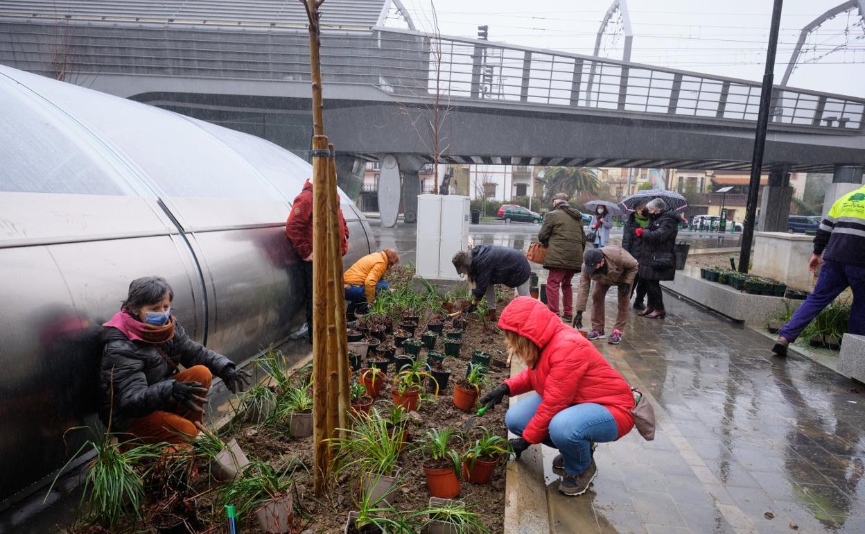 Varios vecinos se sumaron ayer a la plantación popular. 