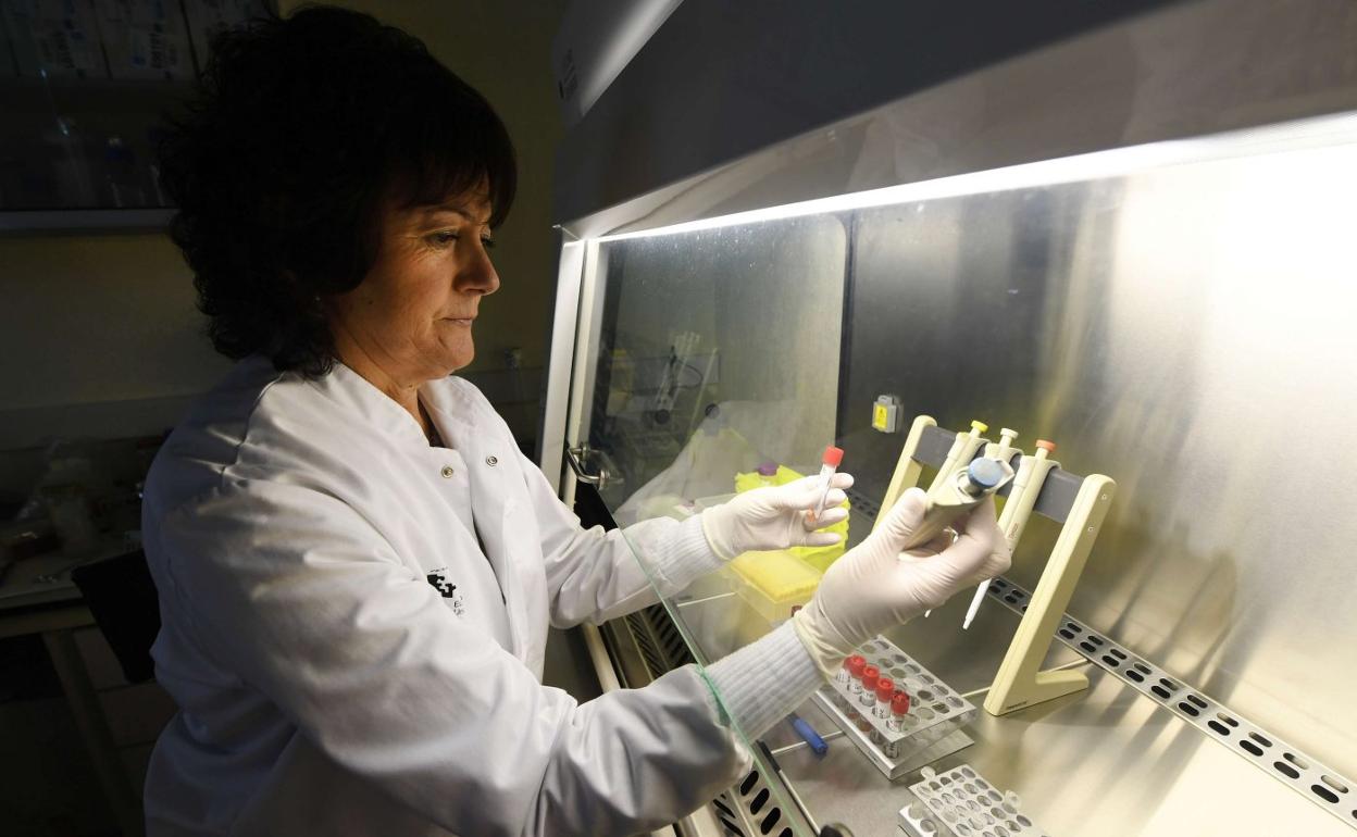 Miren Basaras sostiene unos tubos de ensayo en el laboratorio. 