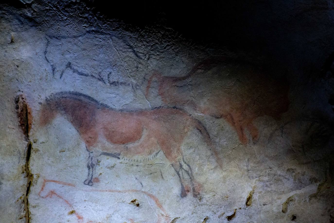 Fotos: Los caballos esperan en Ekainberri
