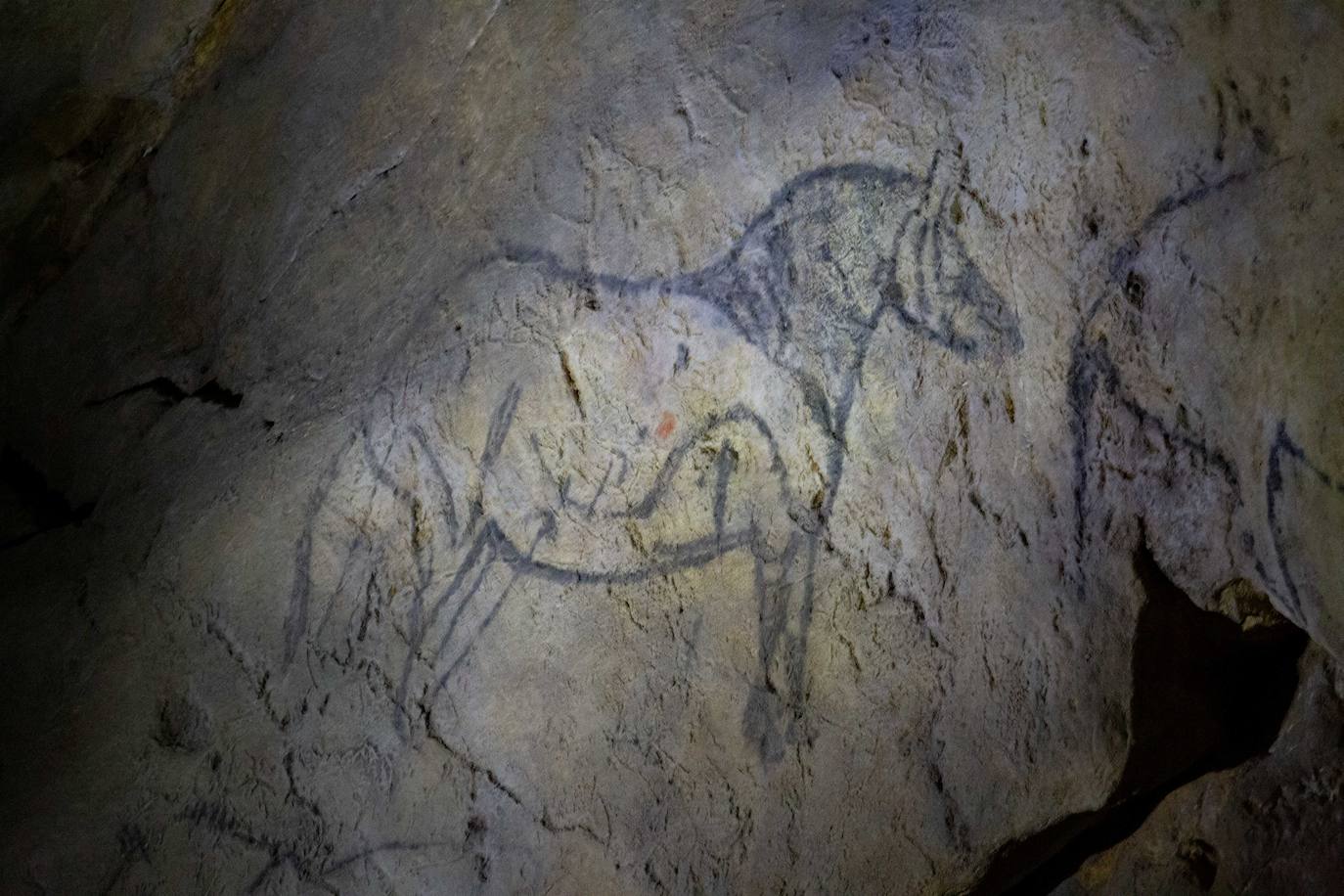 Fotos: Los caballos esperan en Ekainberri