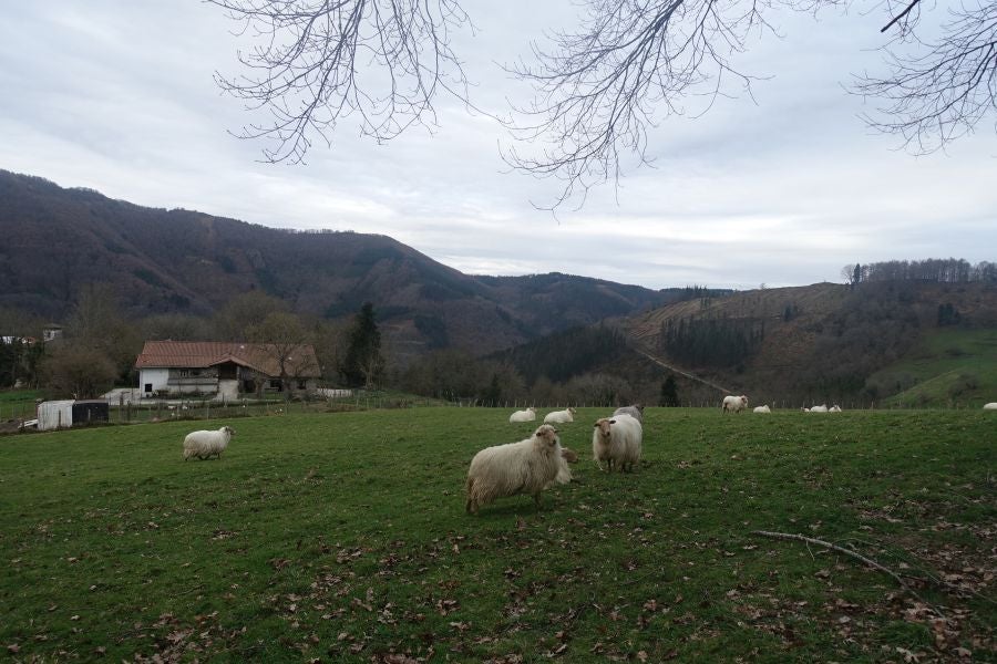 Bajo el manto blanco que ha cubierto esta semana el macizo de Aizkorri se encuentra, Zumarraga y los pueblos que se encuentran en el valle de Urola. 