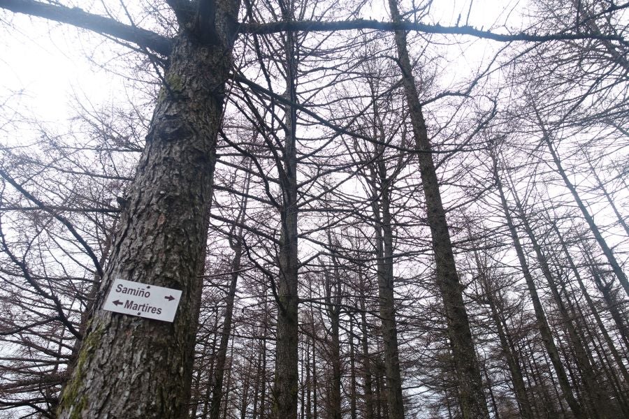 Bajo el manto blanco que ha cubierto esta semana el macizo de Aizkorri se encuentra, Zumarraga y los pueblos que se encuentran en el valle de Urola. 