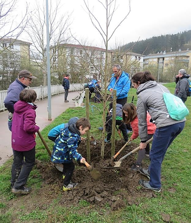 Los participantes en el 'Zuhaitz eguna' que acudieron a las 10.30 para participar en las actividades y uno de los robles plantados junto al campo de fútbol 7. 