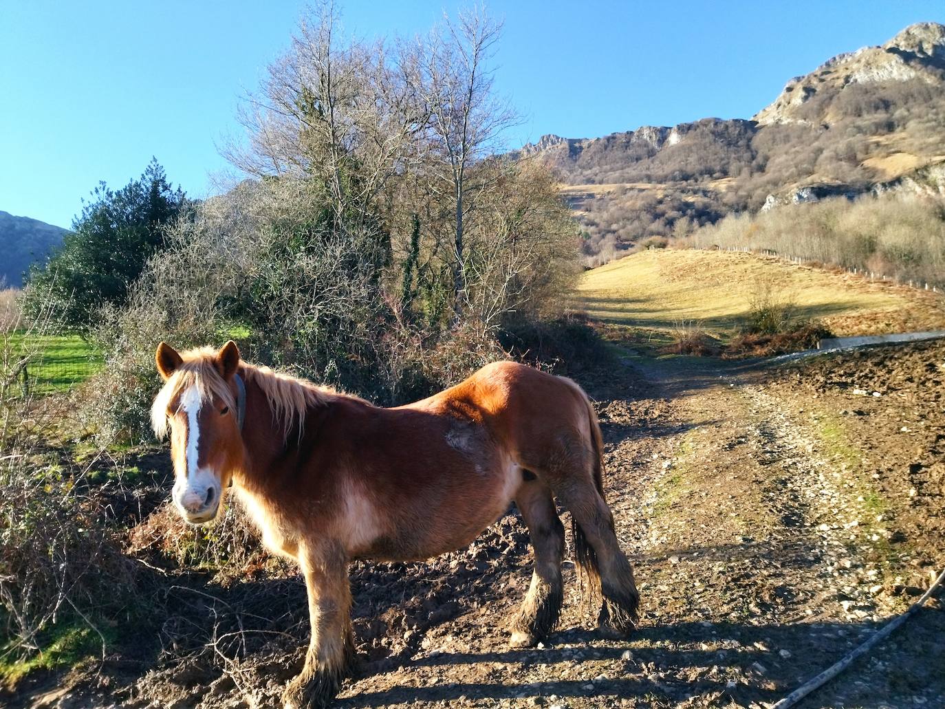 Fotos: Hirumugarrieta, dura subida con premio