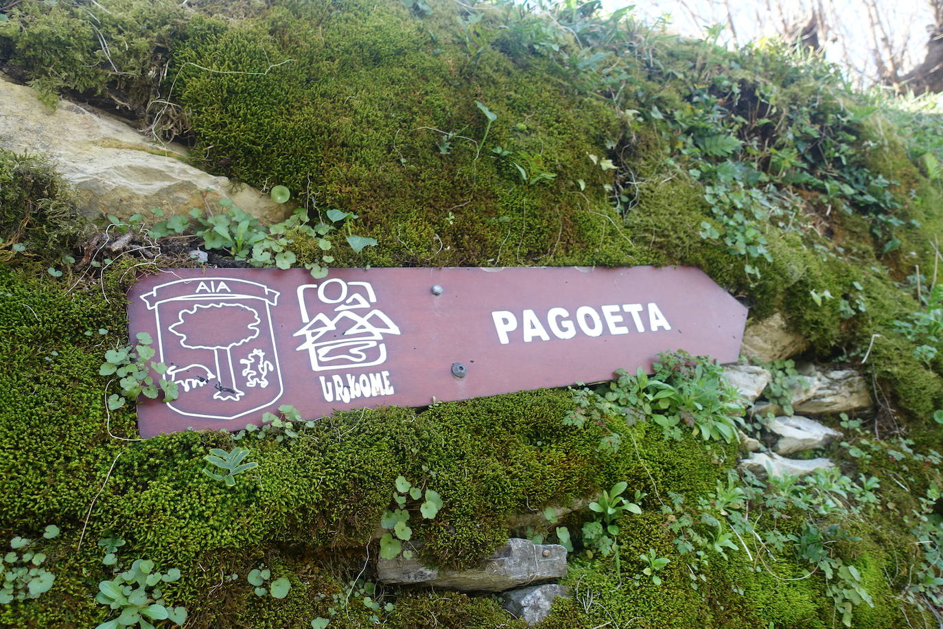 Fotos: Pagoeta, en el límite del Cantábrico