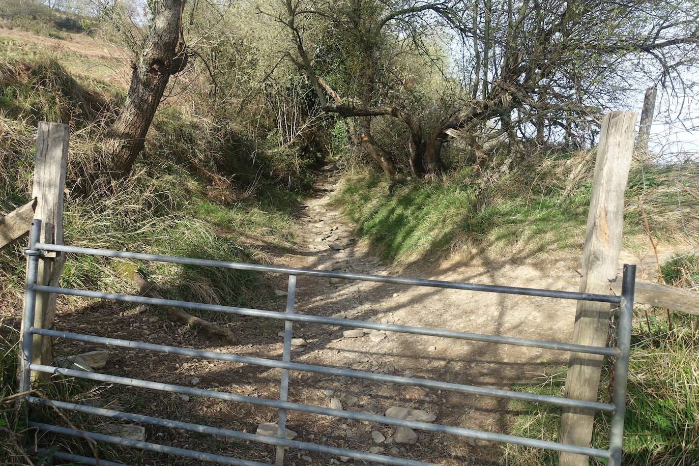 Fotos: Pagoeta, en el límite del Cantábrico