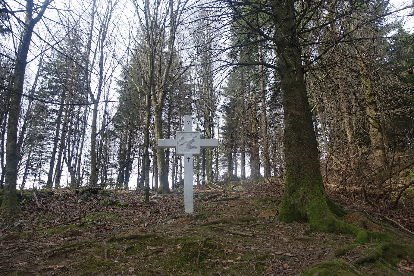 Fotos: Pagoeta, en el límite del Cantábrico