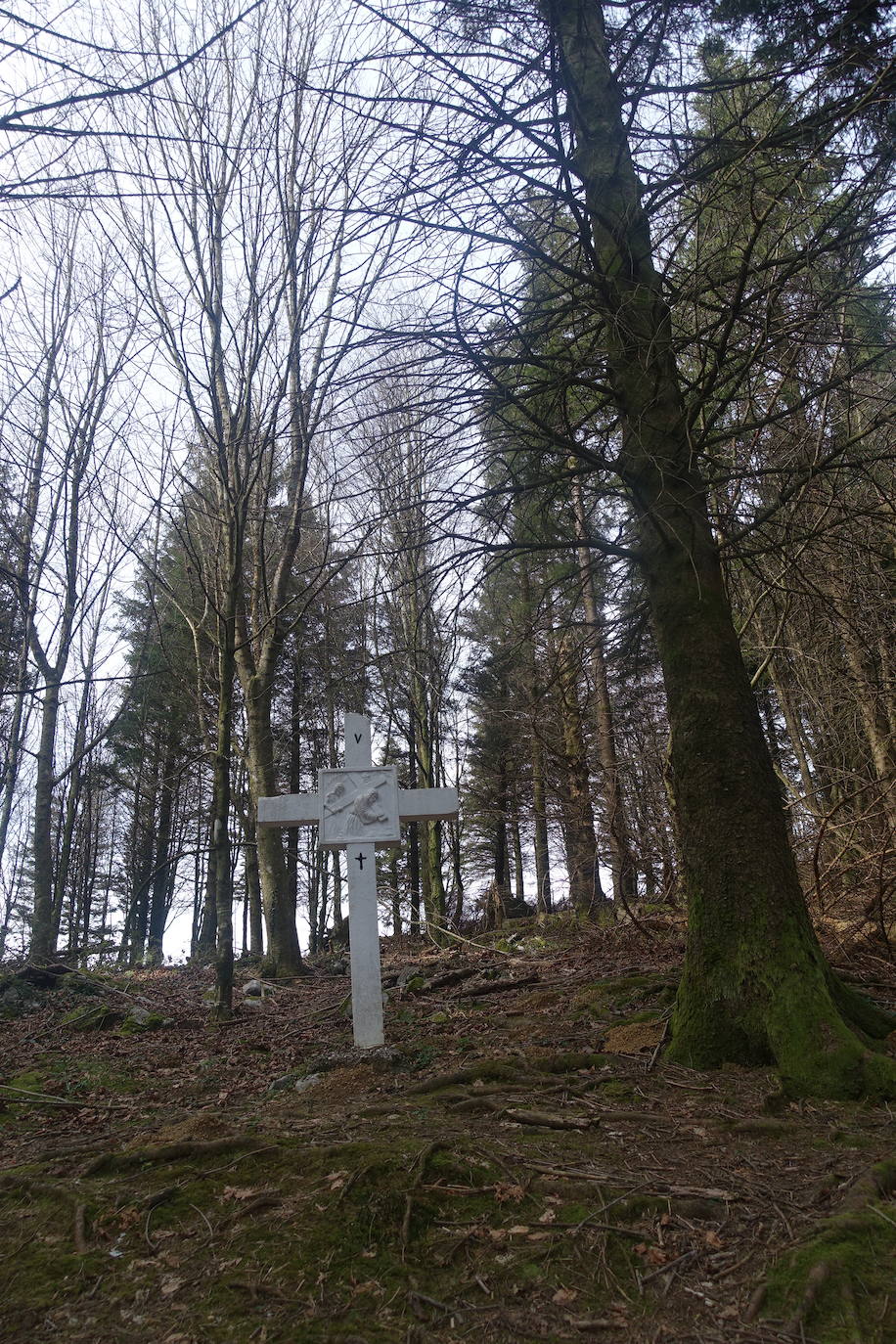 Fotos: Pagoeta, en el límite del Cantábrico