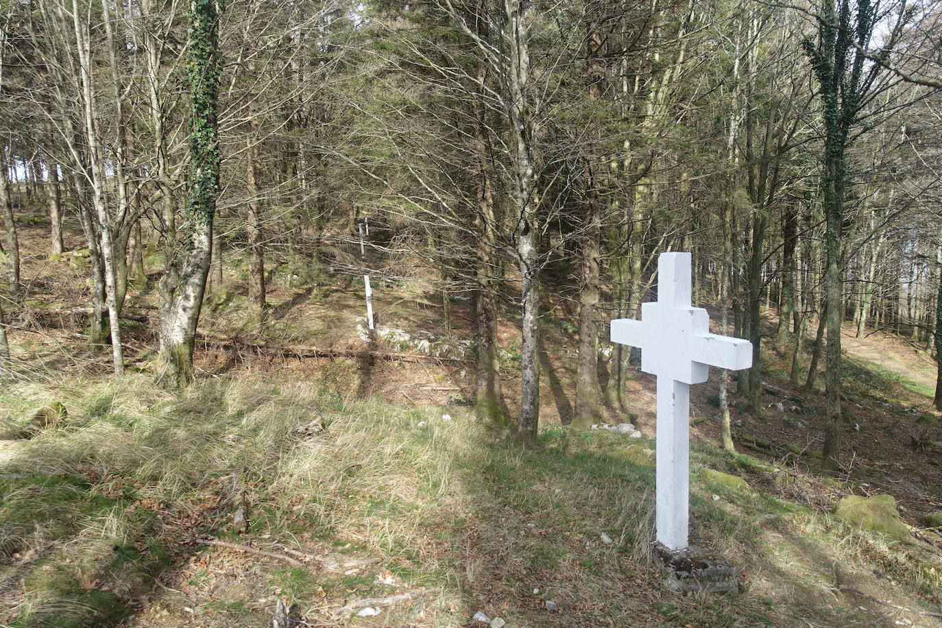 Fotos: Pagoeta, en el límite del Cantábrico