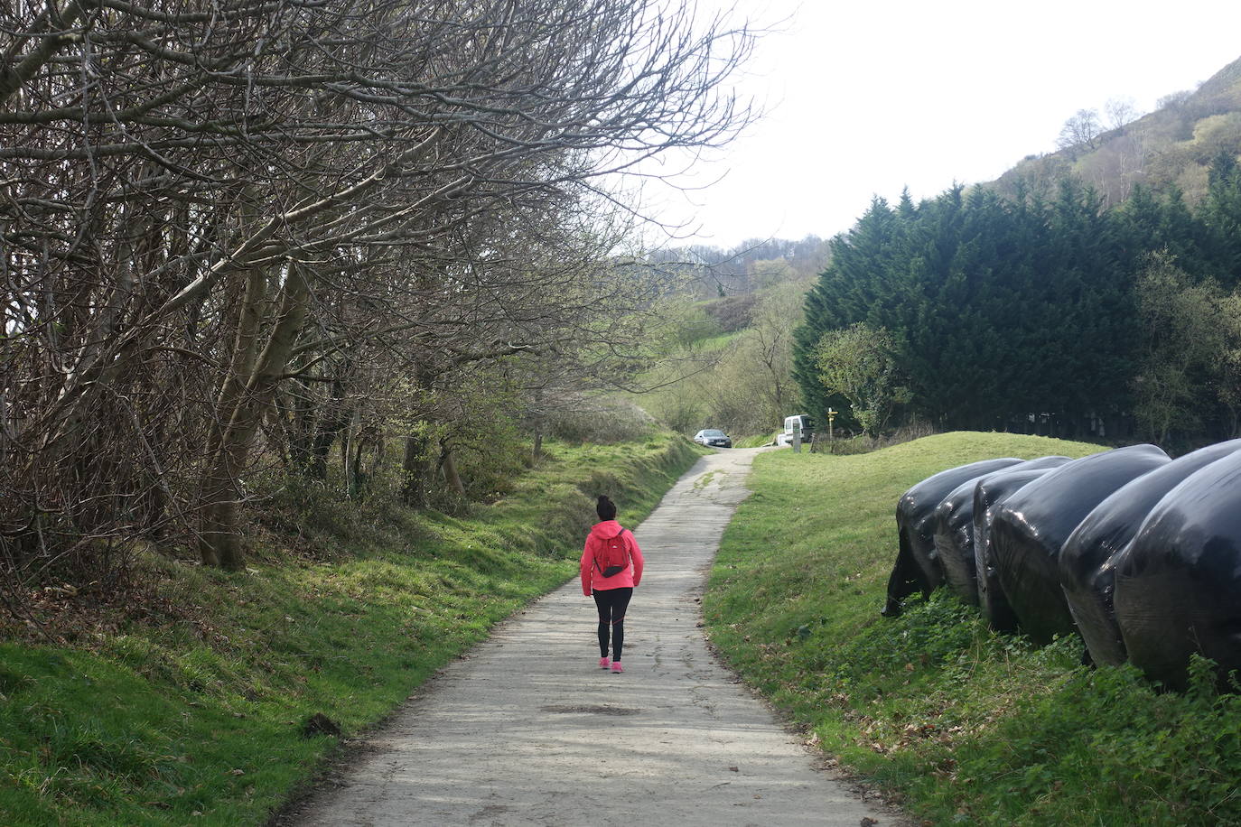 Fotos: Pagoeta, en el límite del Cantábrico