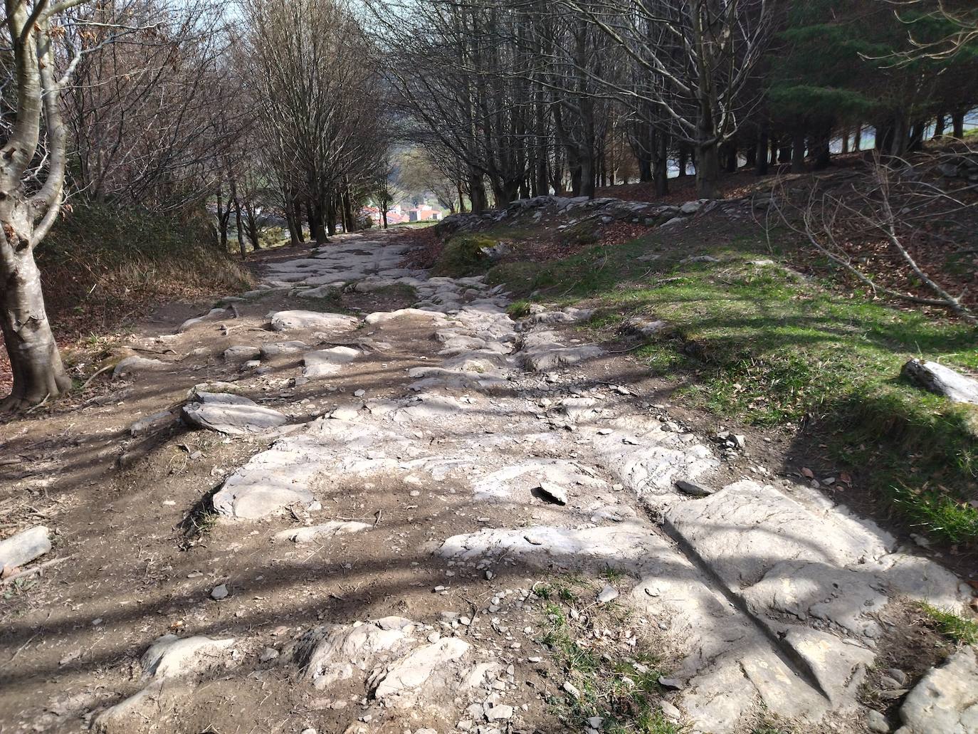 Fotos: Pagoeta, en el límite del Cantábrico