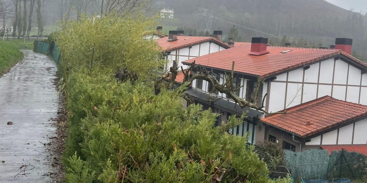 Los afectados sospechan que acceden desde el parque trasero que no tiene iluminado ese tramo. 