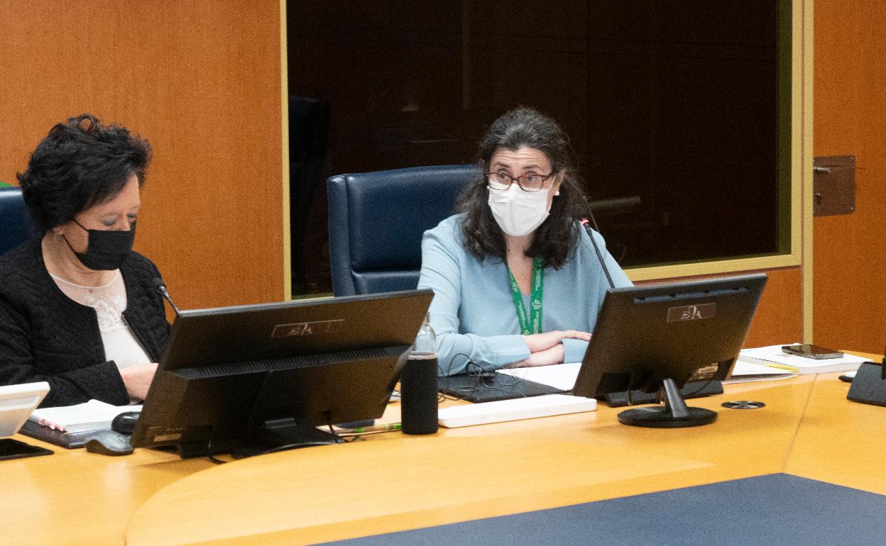 Rosa Pérez ha comparecido este lunes en la comisión de Salud del Parlamento.