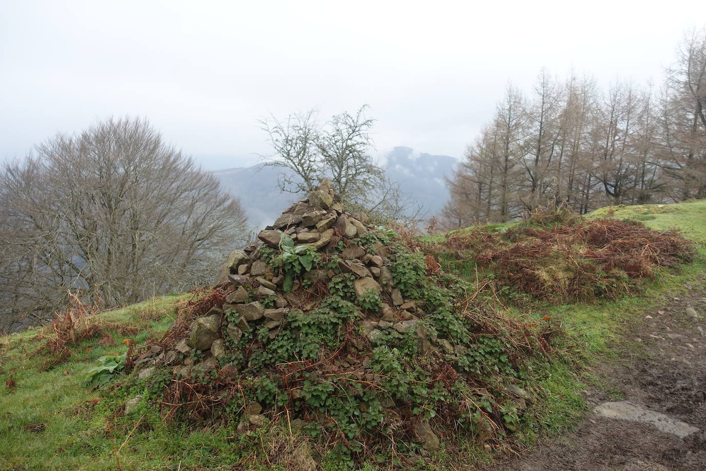 Fotos: Irimo, silencioso guardián del Urola
