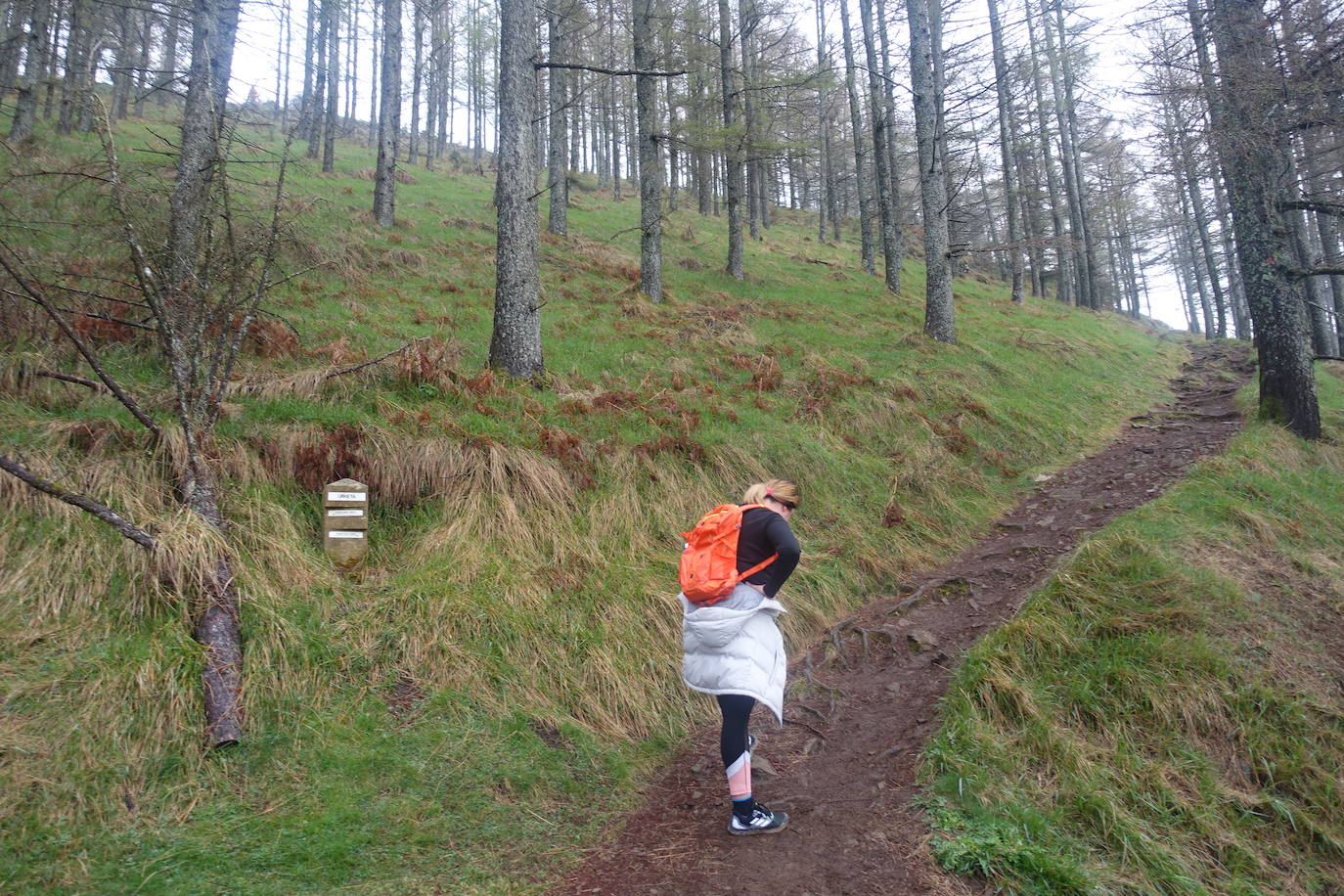 Fotos: Irimo, silencioso guardián del Urola