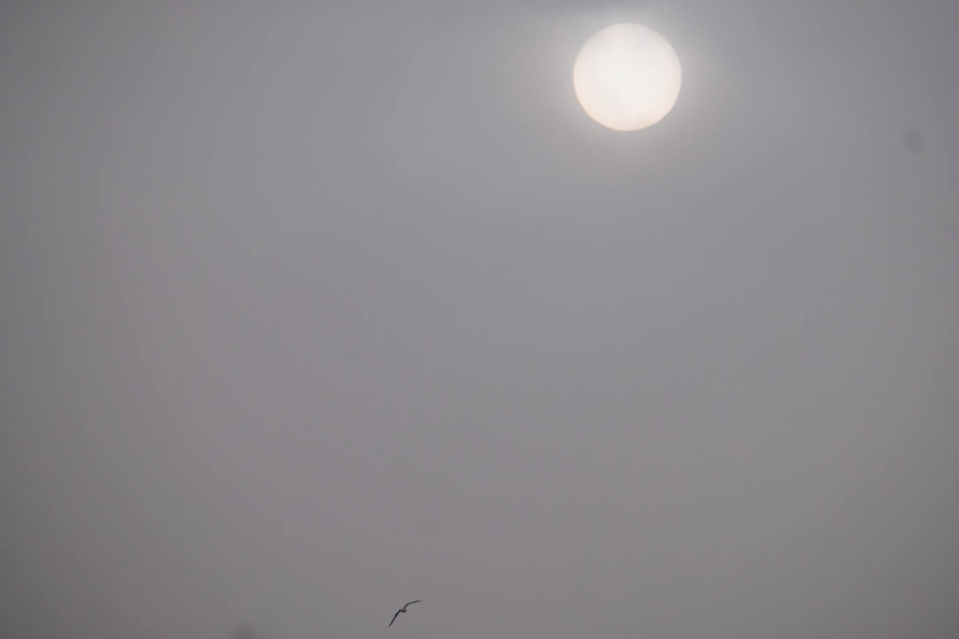 Fotos: Gipuzkoa amanece con calima