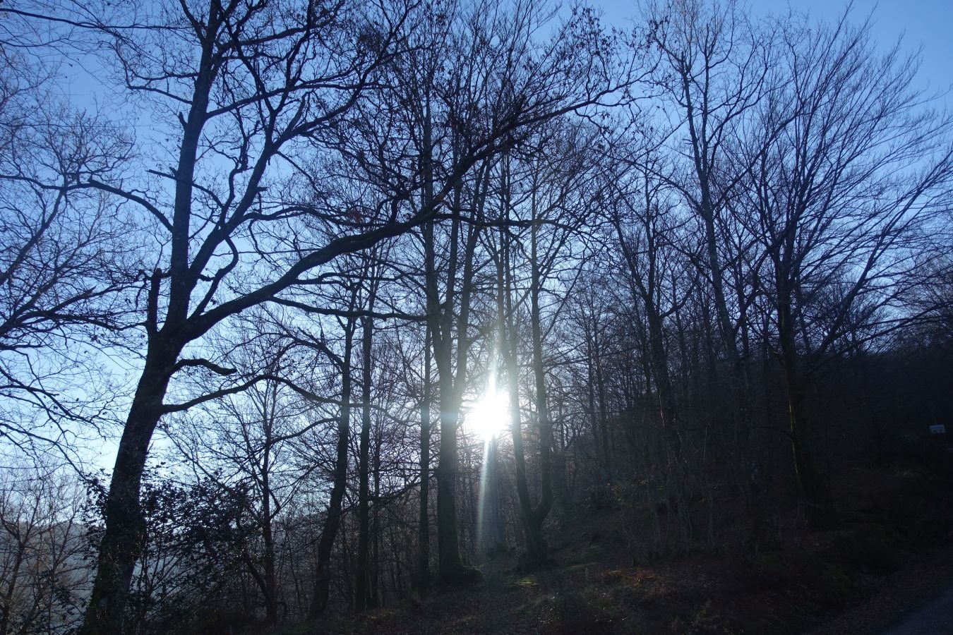 Fotos: Guratz, de camino a Santa Bárbara