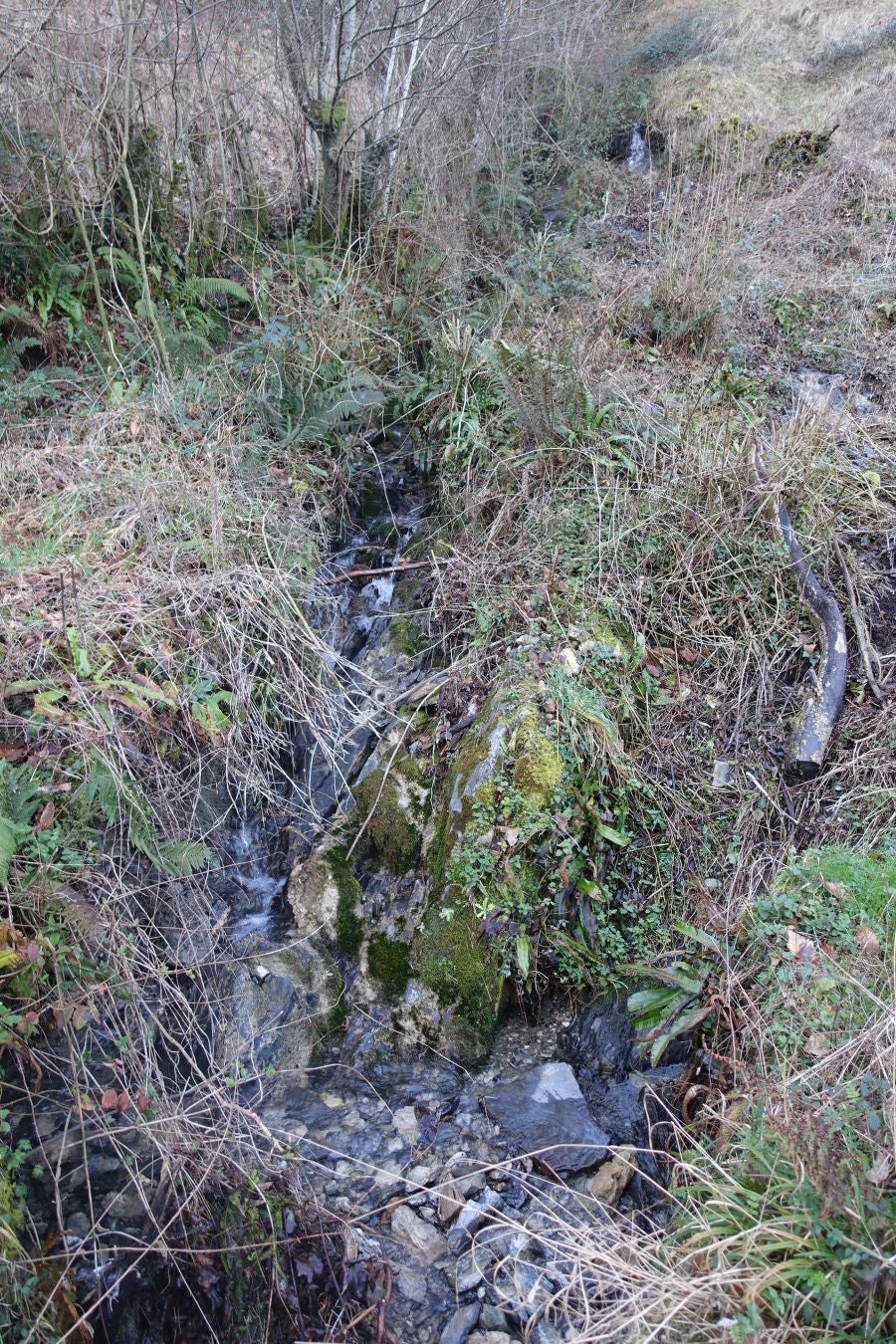 Fotos: Guratz, de camino a Santa Bárbara