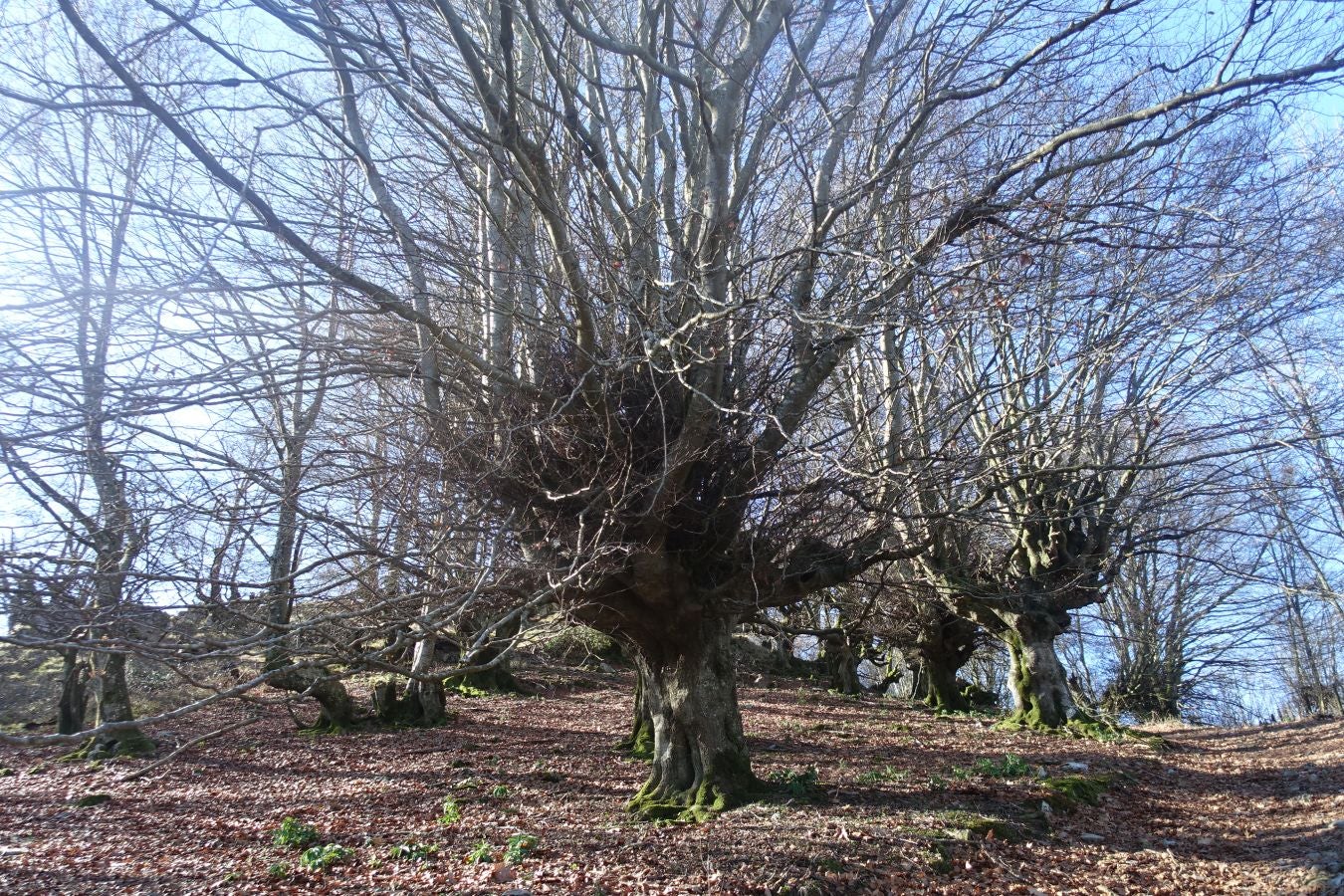 Fotos: Guratz, de camino a Santa Bárbara