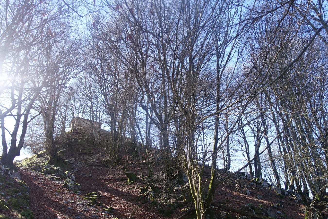 Fotos: Guratz, de camino a Santa Bárbara